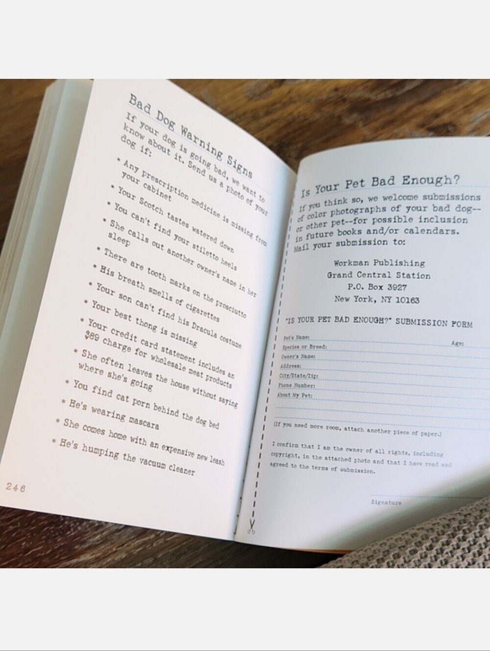 Bad Dog Book - Picture 9 of 9